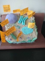 7th Grade: Movement of Materials Across Cell Membranes: EGG-Cellent