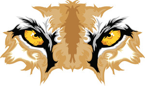 Viborg-Hurley Cougar Spiritwear - Check Us Out
