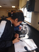 Middle School Science
