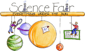 Viborg-Hurley Science Fair